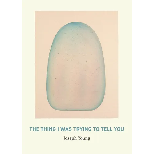 The Thing I Was Trying to Tell You - Paperback
