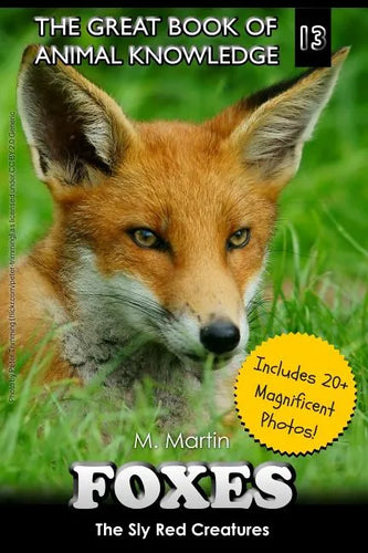 Foxes: The Sly Red Creatures - Paperback