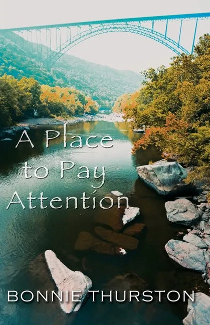 A Place to Pay Attention - Paperback