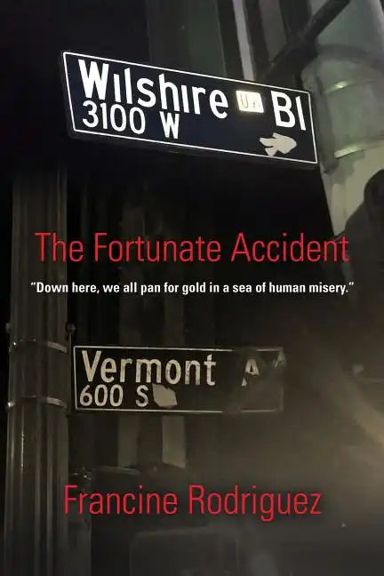 The Fortunate Accident - Paperback