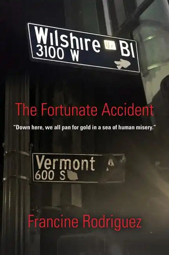 The Fortunate Accident - Paperback