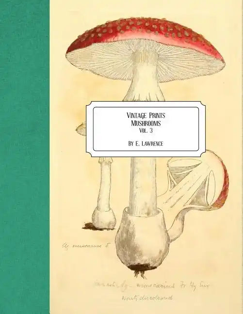 Vintage Prints: Mushrooms: Vol. 3 - Paperback