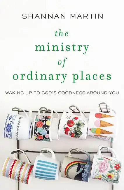 The Ministry of Ordinary Places: Waking Up to God's Goodness Around You - Paperback