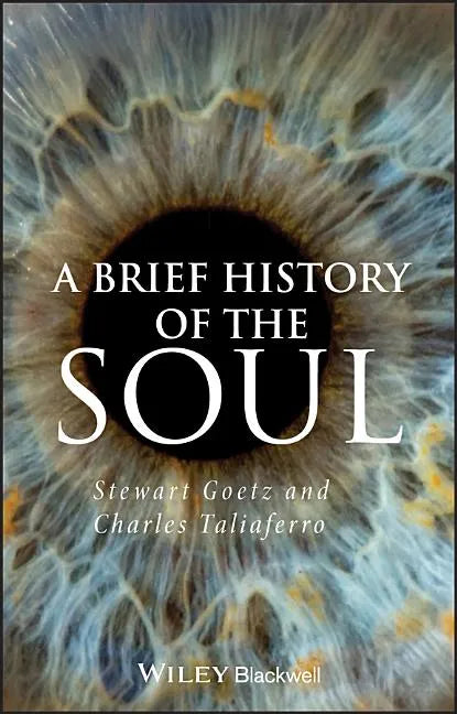 Brief History of the Soul - Paperback