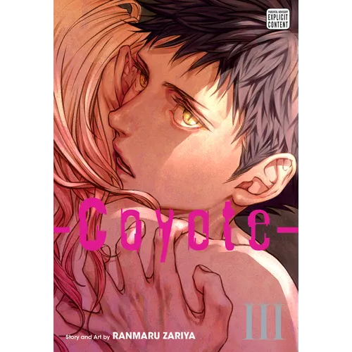 Coyote, Vol. 3 - Paperback