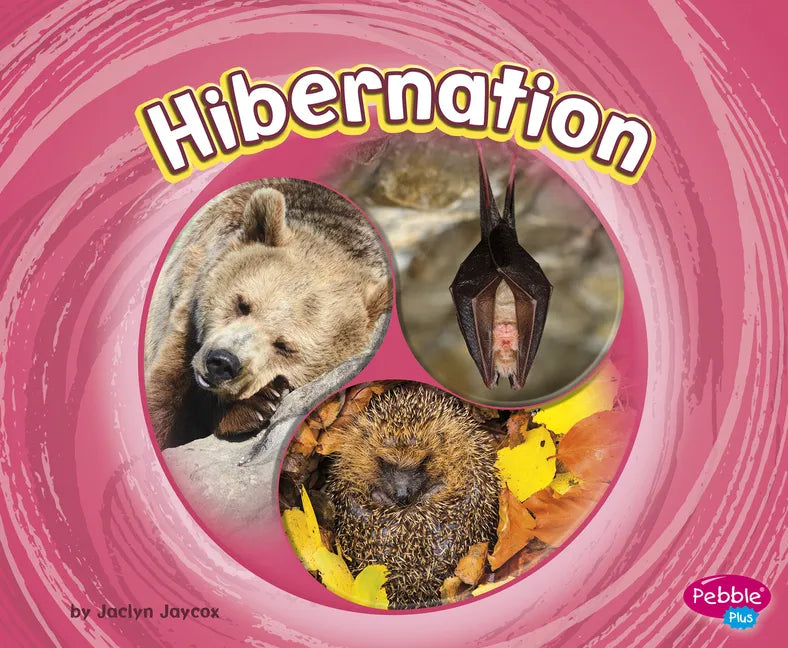 Hibernation - Paperback