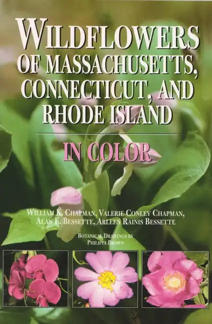 Wildflowers of Massachusetts, Connecticut, and Rhode Island in Color - Paperback