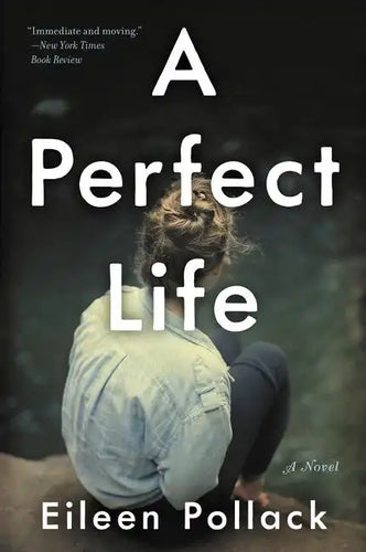 A Perfect Life - Paperback