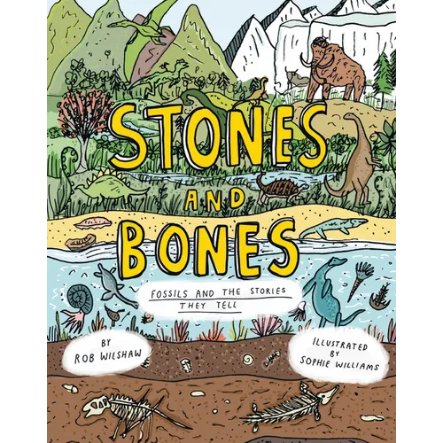 Stones and Bones: Fossils and the Stories They Tell - Hardcover