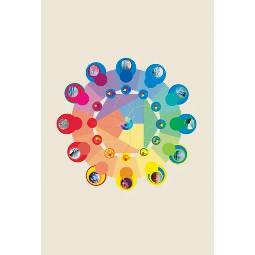 The Neurobiology of Connection: Re-Wilding Your Deep Nervous System for Wellbeing - Hardcover