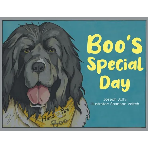 Boo's Special Day - Paperback