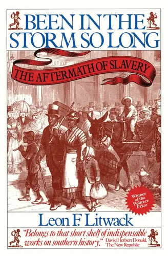 Been in the Storm So Long: The Aftermath of Slavery - Paperback