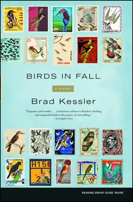 Birds in Fall - Paperback