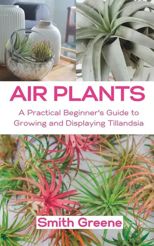 Air Plants: A Practical Beginner's Guide to Growing and Displaying Tillandsia - Paperback