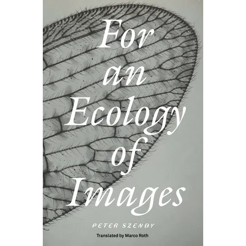 For an Ecology of Images - Paperback