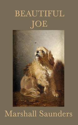 Beautiful Joe - Hardcover