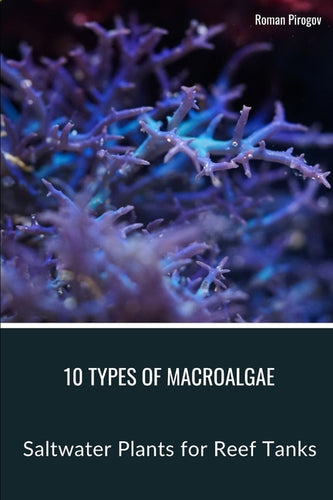 10 Types of Macroalgae: Saltwater Plants for Reef Tanks - Paperback