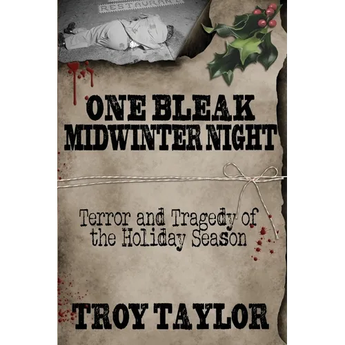 One Bleak Midwinter Night - Paperback