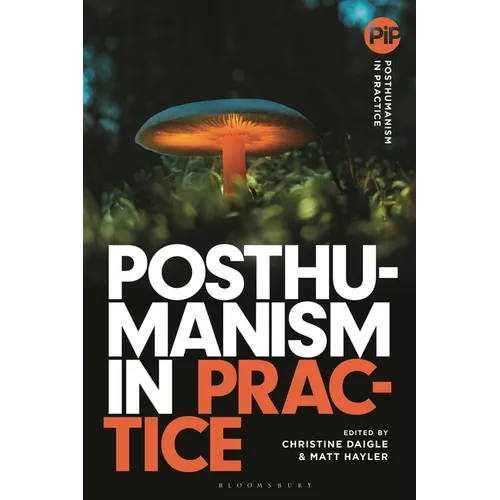 Posthumanism in Practice - Paperback