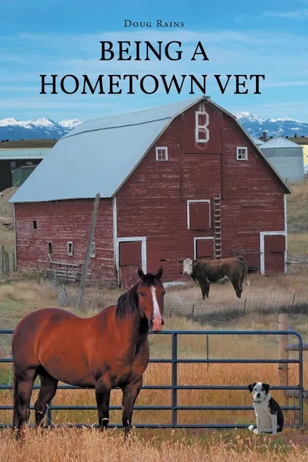 Being a Home Town Vet - Paperback