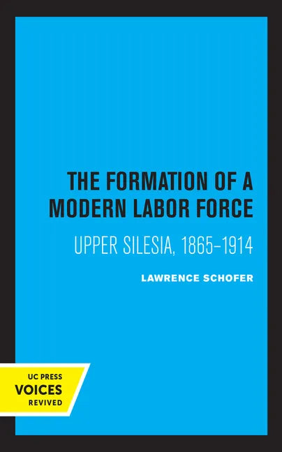 The Formation of a Modern Labor Force: Upper Silesia, 1865-1914 - Paperback