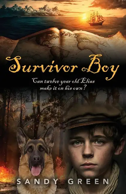 Survivor Boy - Paperback
