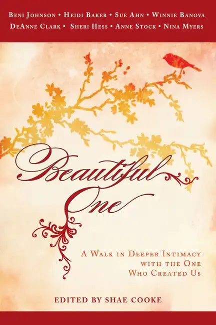 Beautiful One: A Walk in Deeper Intimacy with the One Who Created Us - Paperback