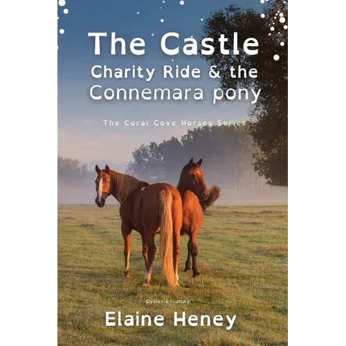 The Castle Charity Ride and the Connemara Pony - Dyslexia Friendly - Paperback