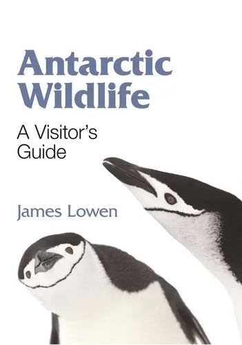 Antarctic Wildlife: A Visitor's Guide - Paperback