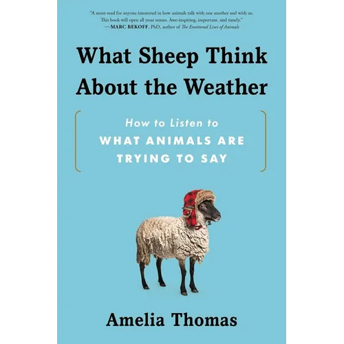 What Sheep Think about the Weather: How to Listen to What Animals Are Trying to Say - Paperback