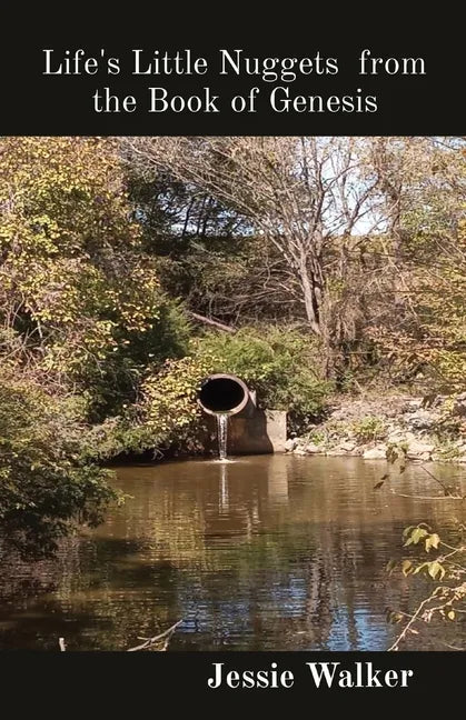 Life's Little Nuggets from the Book of Genesis - Paperback