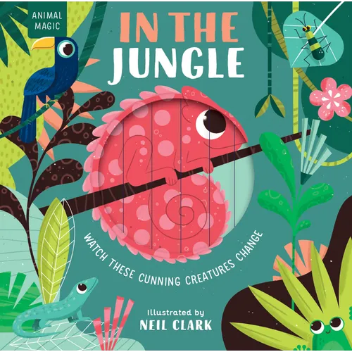 In the Jungle - Board Book