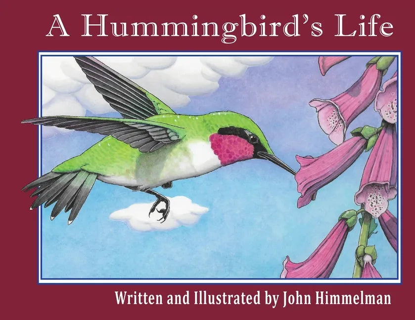 A Hummingbird's Life - Paperback