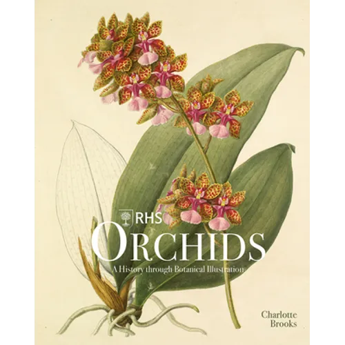 Rhs Orchids - Hardcover