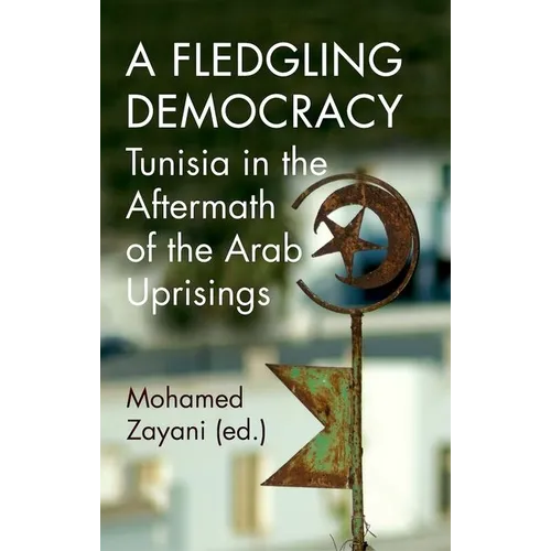 A Fledgling Democracy: Tunisia in the Aftermath of the Arab Uprisings - Paperback