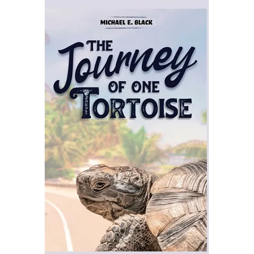 The Journey of One Tortoise - Paperback