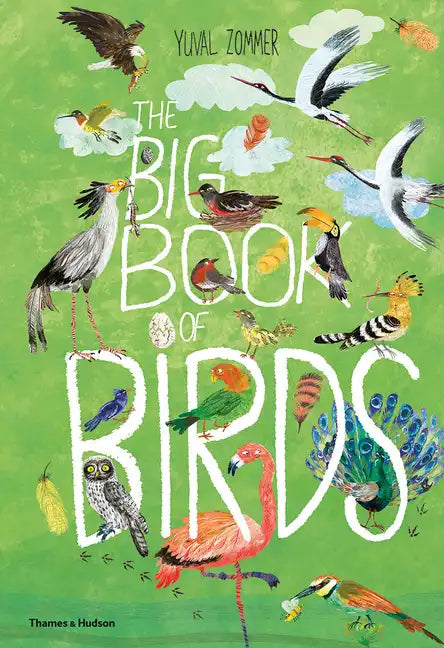 The Big Book of Birds - Hardcover