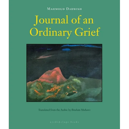 Journal of an Ordinary Grief - Paperback