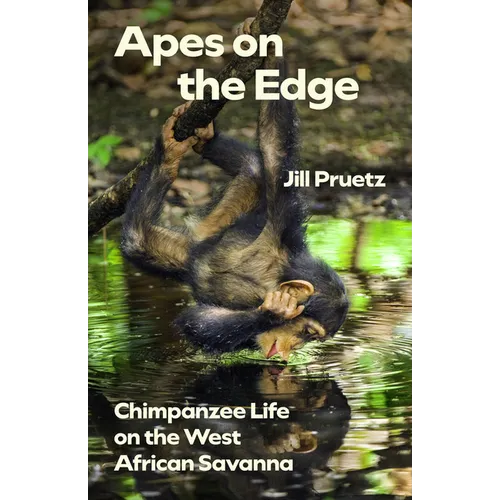 Apes on the Edge: Chimpanzee Life on the West African Savanna - Paperback