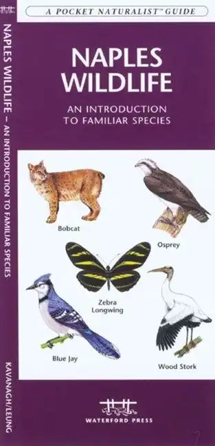 Tampa Bay Birds: A Folding Pocket Guide to Familiar Species - Hardcover