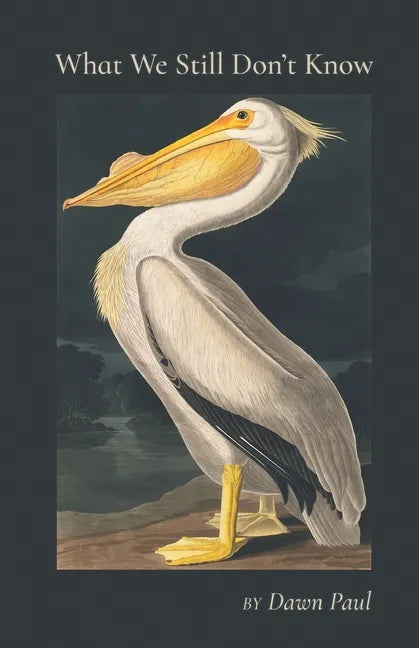 What We Still Don't Know - Paperback