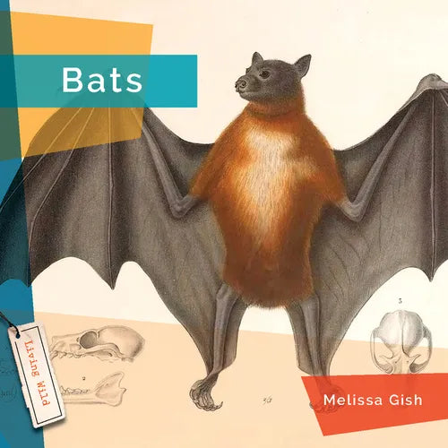 Bats - Library Binding