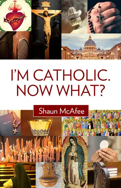 I'm Catholic. Now What? - Paperback