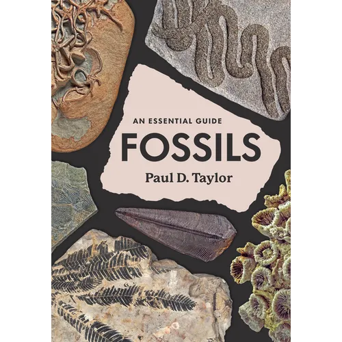 Fossils: An Essential Guide - Hardcover