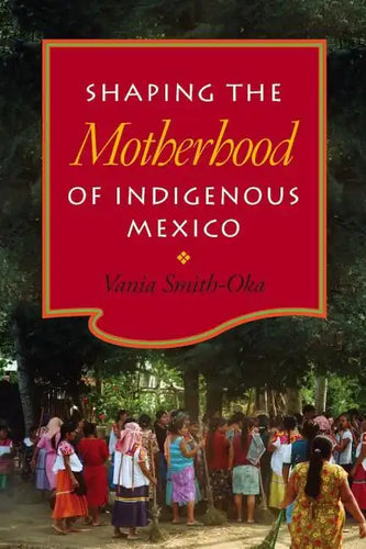 Shaping the Motherhood of Indigenous Mexico - Hardcover