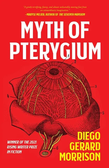 Myth of Pterygium - Paperback