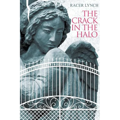 The Crack in the Halo - Paperback