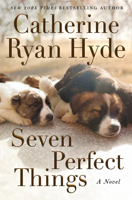 Seven Perfect Things - Paperback