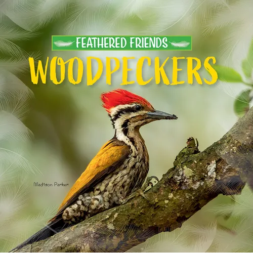 Woodpeckers - Paperback