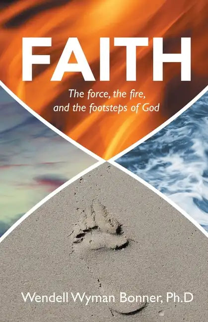 Faith: The Force, the Fire, and the Footsteps of God - Paperback
